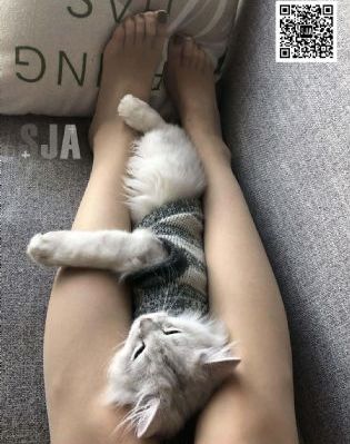 泰国黄色片-磁力链高清迅雷下载